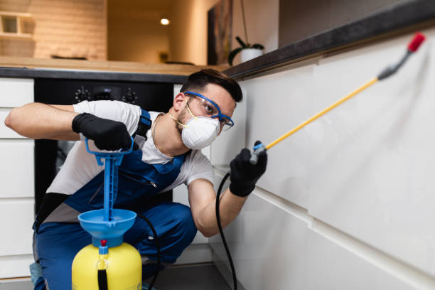 Best Rat Extermination Near Me  in Danville, VA