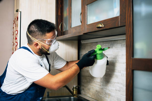 Best Pest Removal Services  in Danville, VA