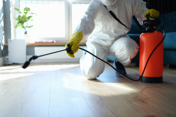 Insect Control in Danville, VA