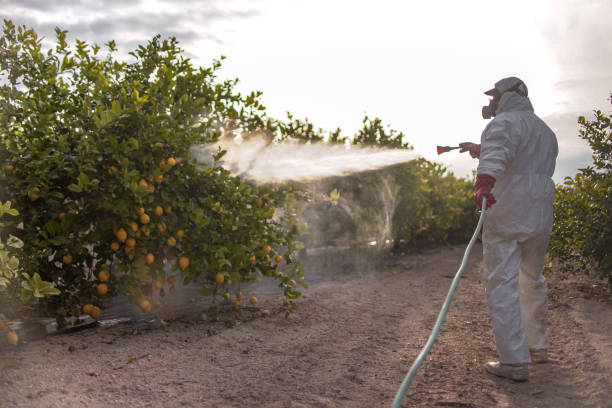 Best Pest Prevention Services  in Danville, VA