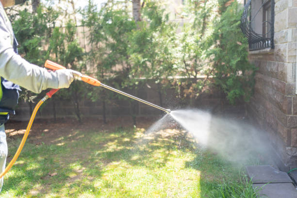 Insect Control in Danville, VA