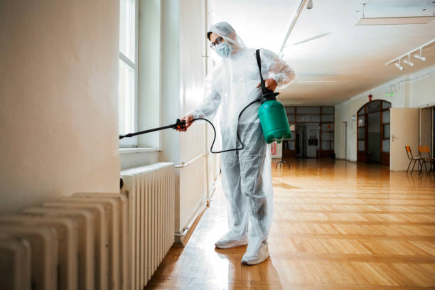 Wasp Removal Services in Danville, VA