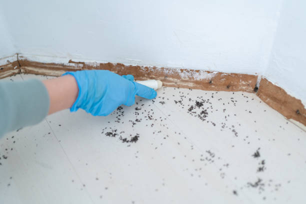 Best Pest Control Treatment  in Danville, VA