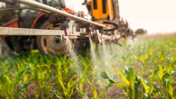 Best Mosquito Control Services  in Danville, VA